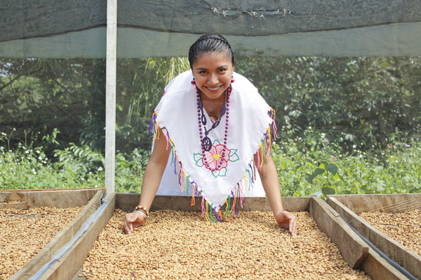 Tradición huasteca